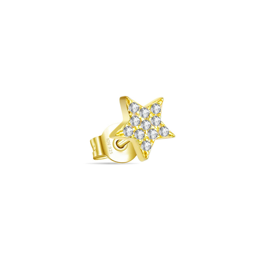 star shape stud earring.
