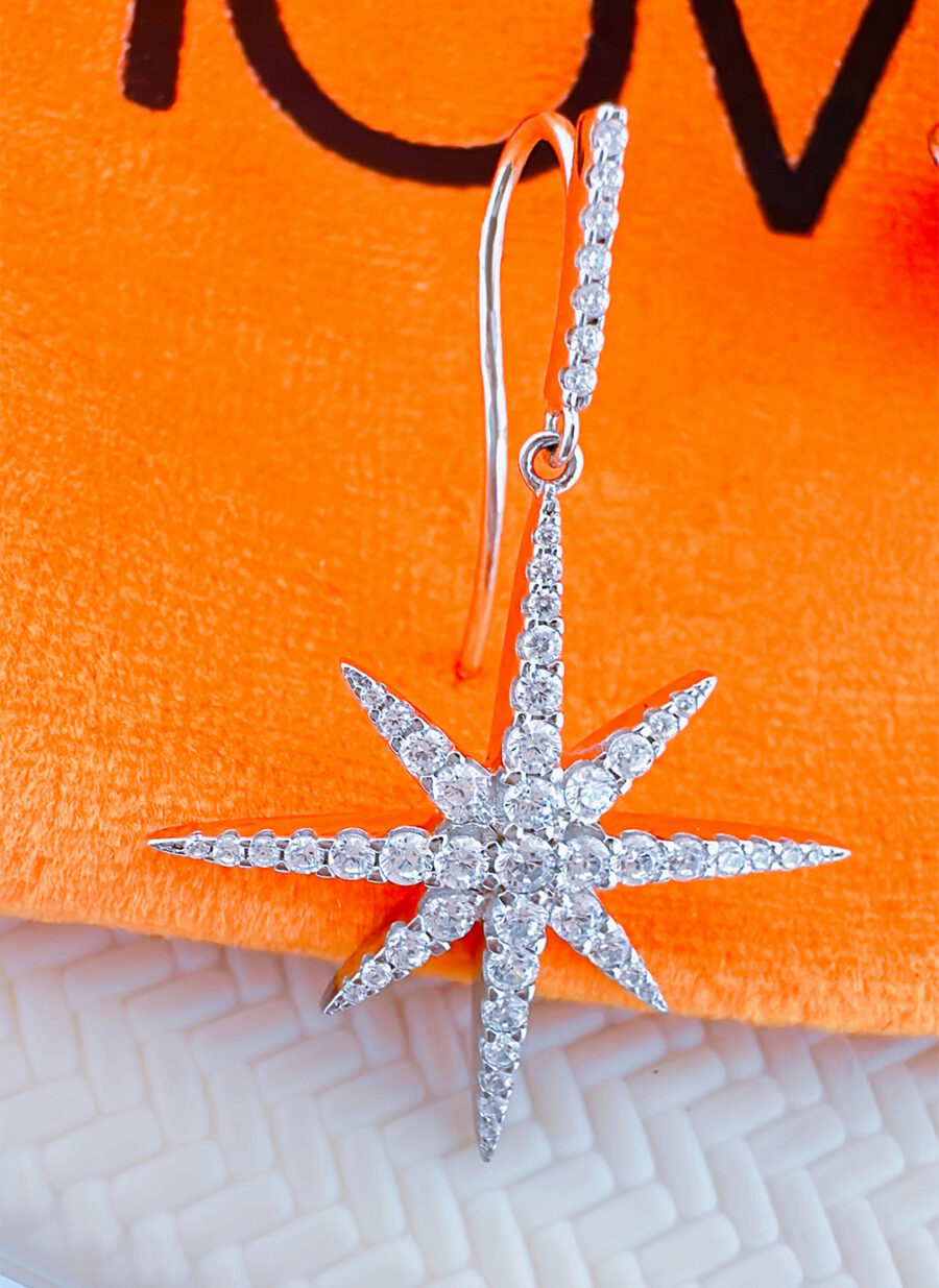hook style CZ star earring.