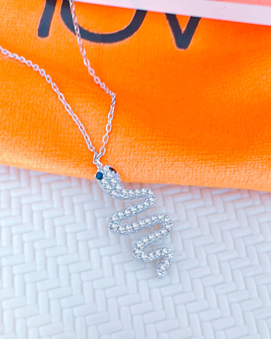 snake shape necklace.